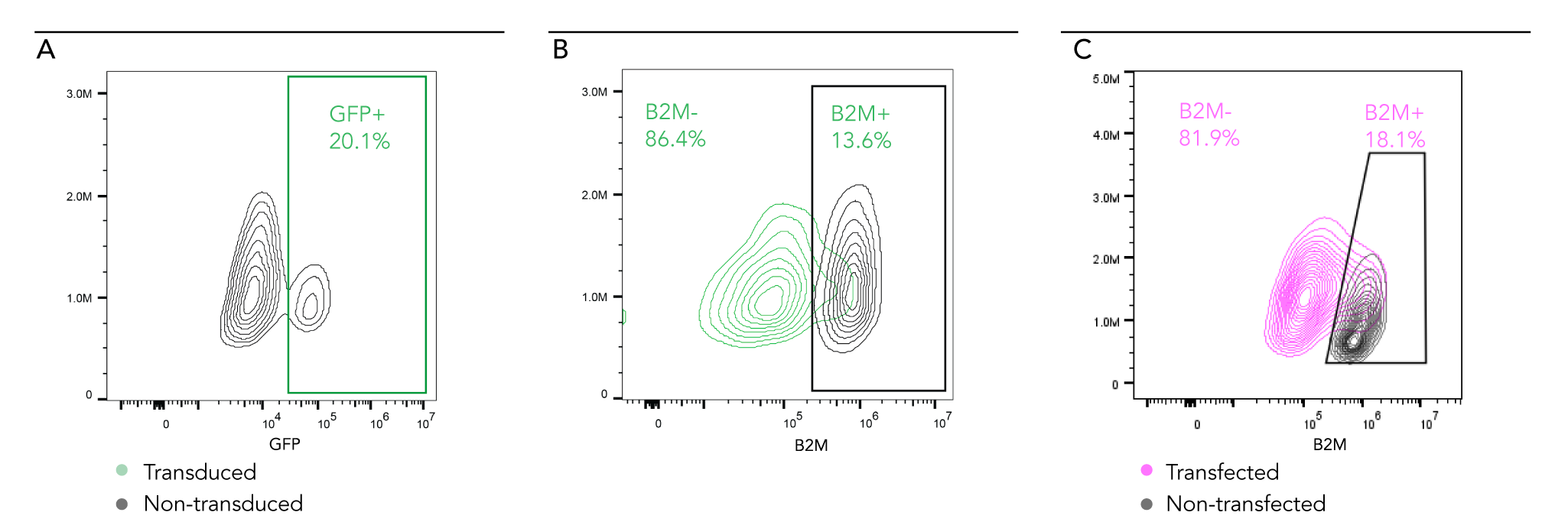 human Microglia gene knockout flow cytometry readout