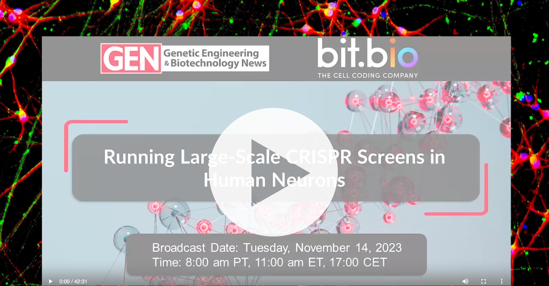 A preview of a webinar from CRISPR experts where they discuss the use of iPSC-derived cells for CRISPR gene knockout and CRISPR screens. They perform genome wide gene knockouts in iPSCs for target identification and drug discovery