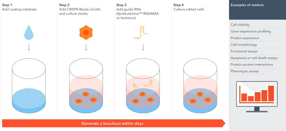 A diagram showing how quick and easy it is to use CRISPR-Ready ioCells to generate experimental readouts, including cell viability, gene expresion profiling, protein expression, cell morphology, functional assays, phenotypic assays and protein interaction