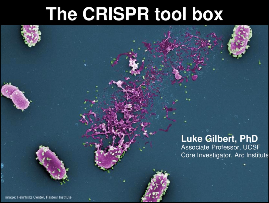 Powering a new generation of physiologically relevant CRISPR screens