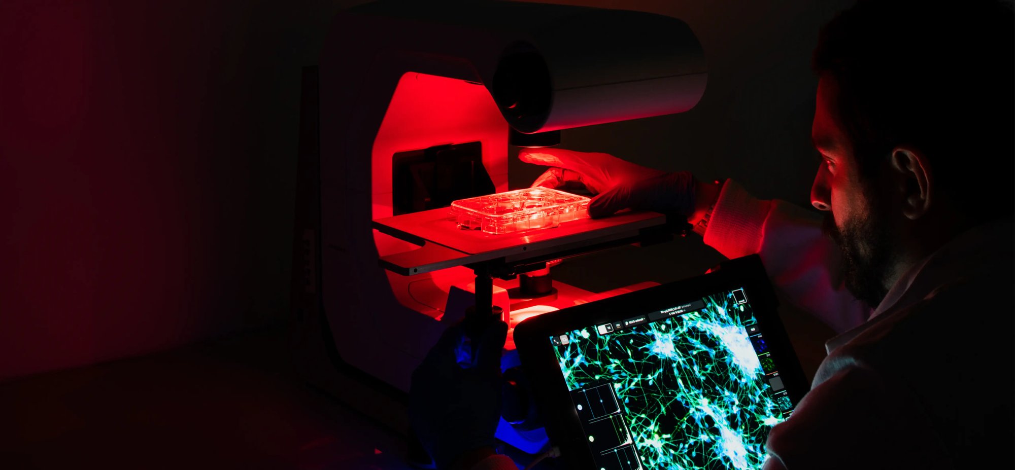 An image showing a scientist looking at custom developed human iPSC-derived cells under a microscope as part of the process to manufacture iPSC-derived cells