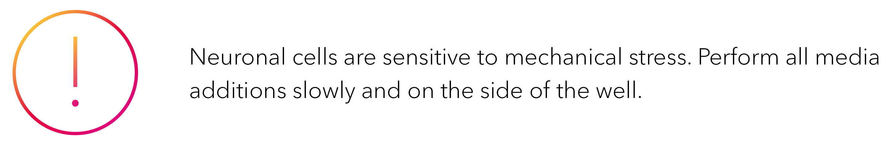 Neuronal cells are sensitive to mechanical stress. Perform all media additions slowly and on the side of the well.