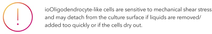 Alert: ioOligodendrocyte-like cells are sensitive to mechanical shear stress.