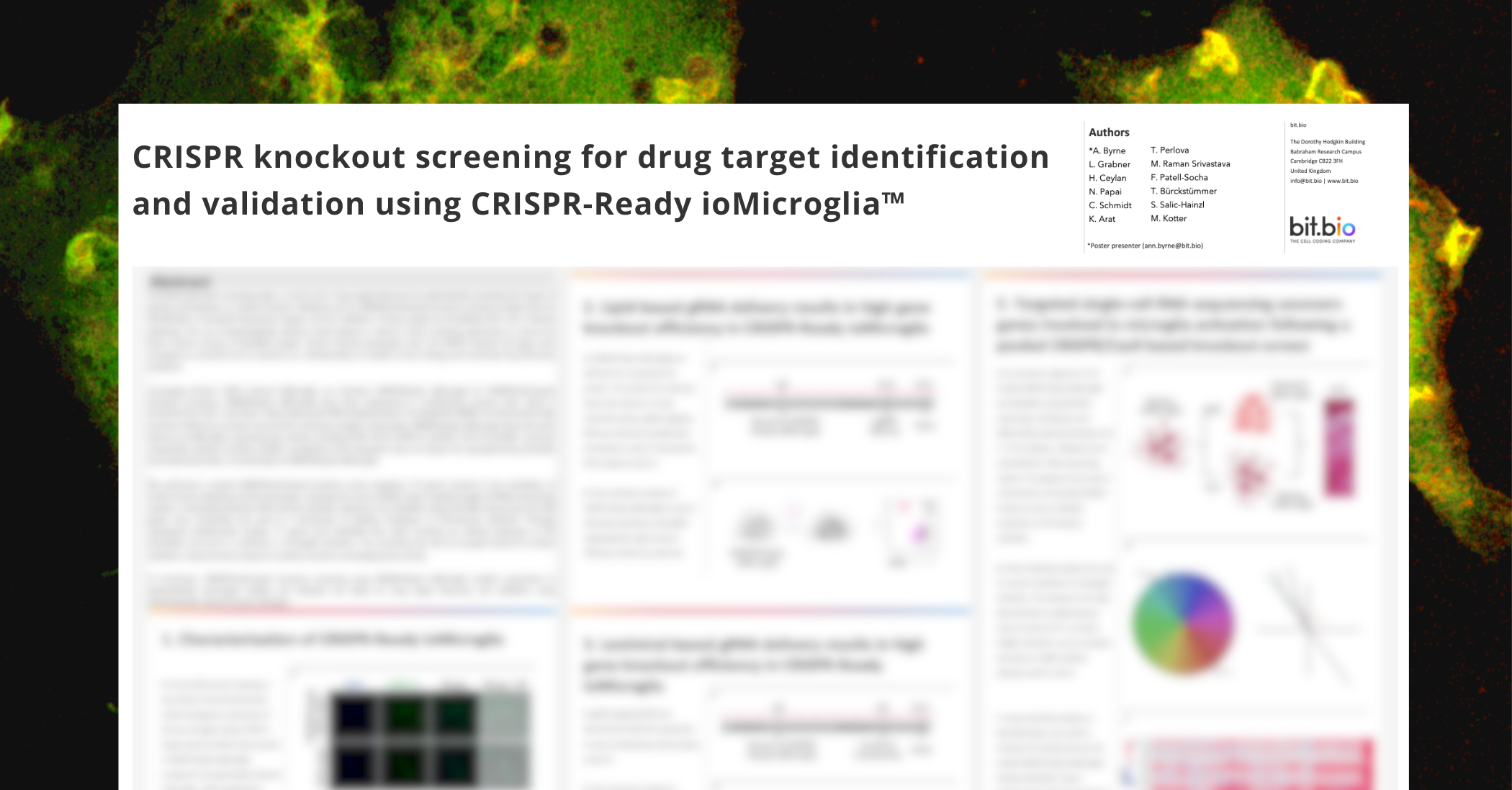 A preview of a scientific poster showcasing CRISPR-ready cells. This poster shows an iPSC derived cell made to help scientist achieve for CRISPR gene knockouts and CRISPR screens helping users with target identification drug discovery workflows