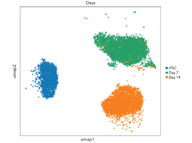 GABAergic Neurons change in gene expression over time scRNAseq