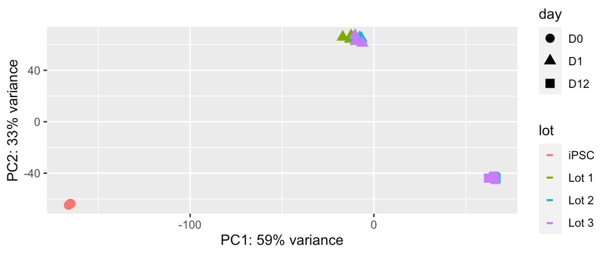 io1003 ioGABAergic neurons bulk RNAseq lot consistency figure