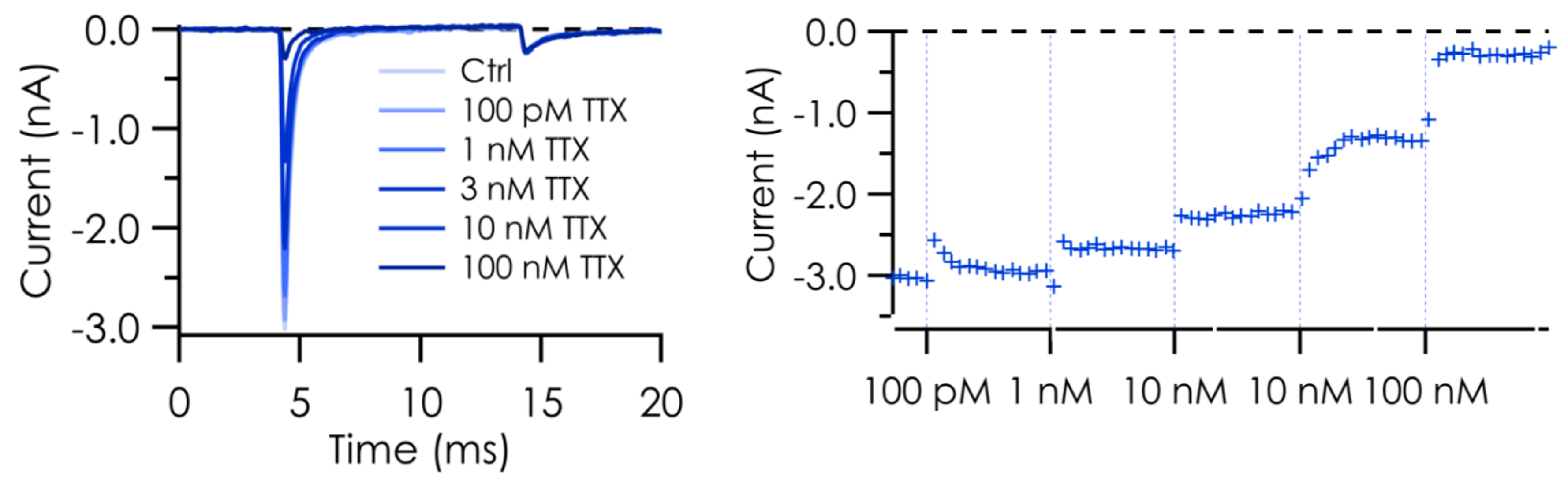 ioSensory Neuron Nanion data TTX resistence