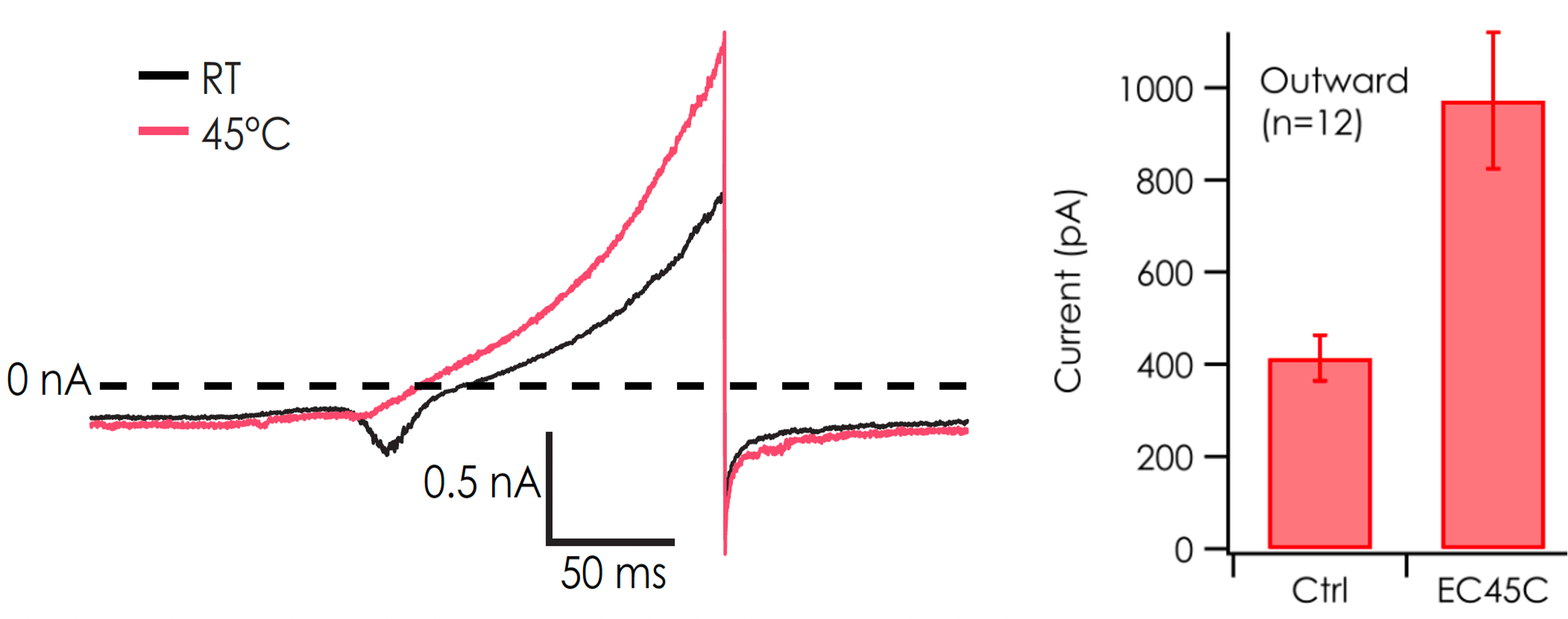 ioSensory Neuron Nanion data heat response